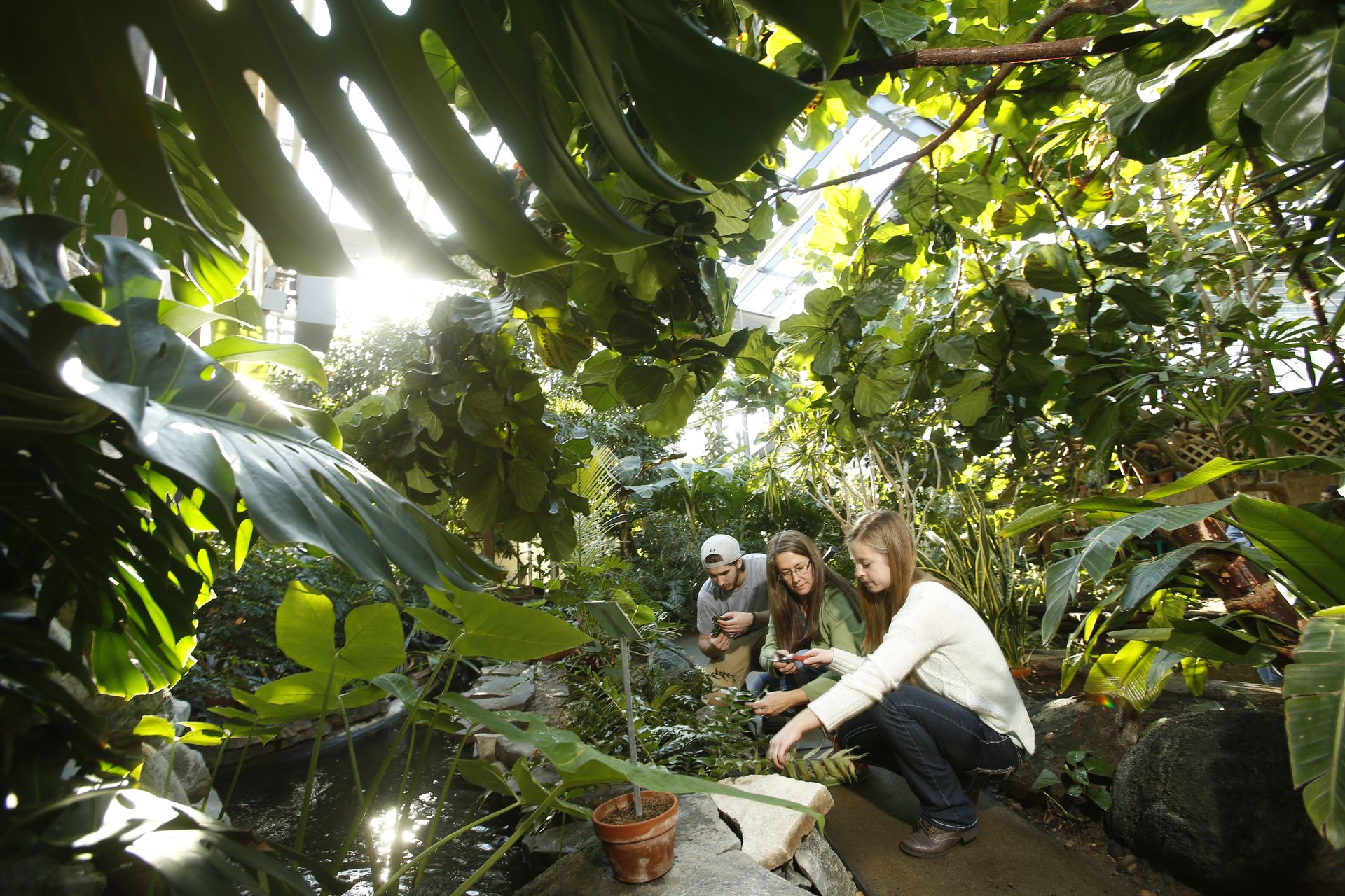 Students working with plants in the greenhouse located on campus.
