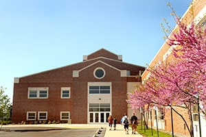 The College of Medicine main building, a brown building made of brick, next to trees blooming with pink flowers in spring.