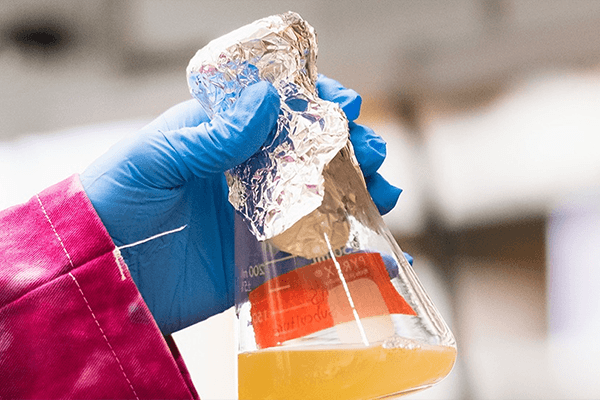 Gloved hand holding chemical solution in glass beaker.