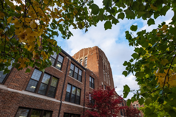 A view of Warriner Hall through tree leaves.