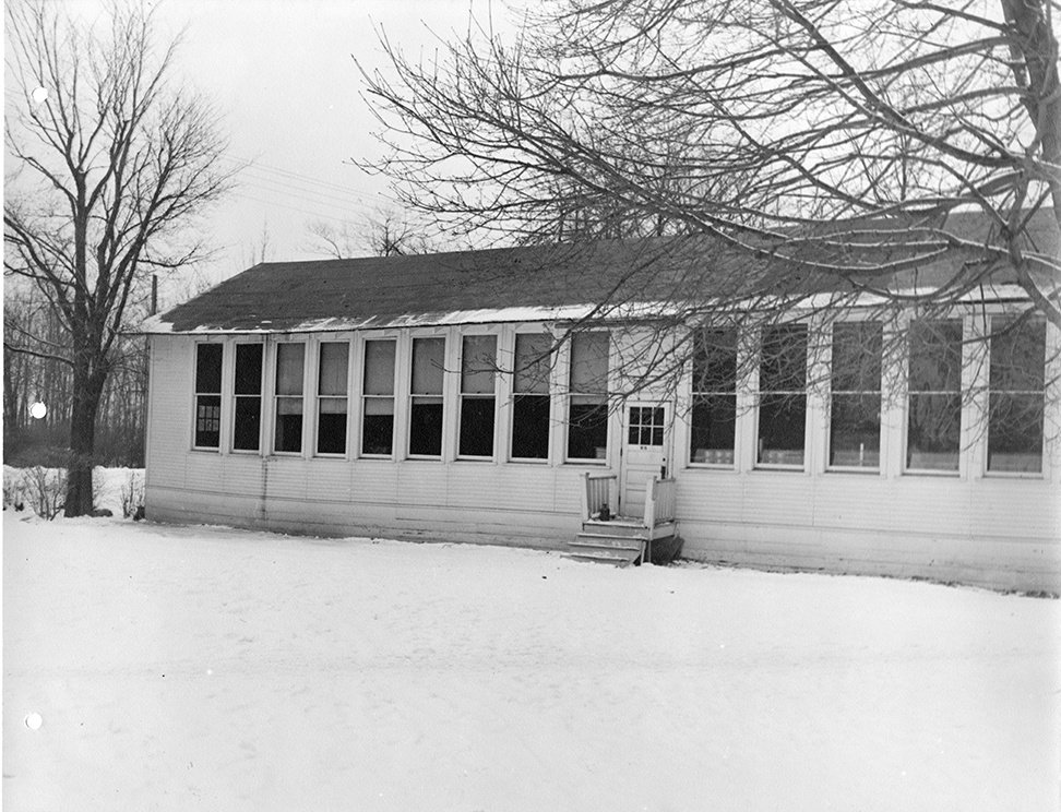 Temporary Buildings [Sheep Sheds I]