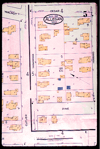 Allegan Michigan Map