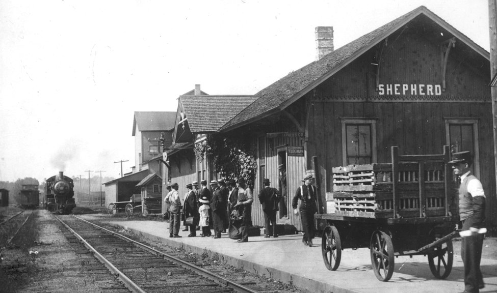 Shepherd Depot