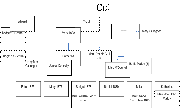 20211013_BeaverIsland_bioc_clip_image004_005 Cull Family Tree