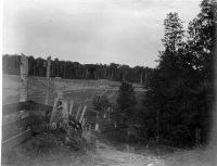 Fence between the Hemingway's property and Henry Bacon's farm, ca. 1900  Image courtesy of Jim Sanford and Clarke Historical Library