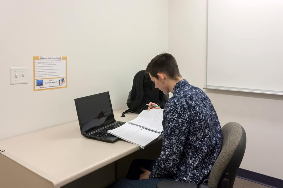 Person studying in an individual study room.