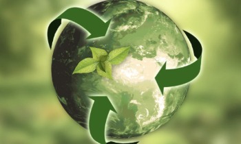 Sustainability-Sept26-Blog-1-Blog_Featured Img_350x210