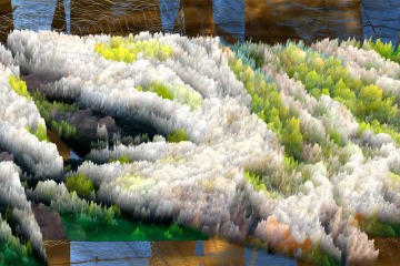 Frequencies of Deep Time Art Exhibition