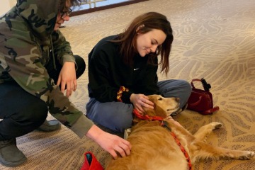 T.Dogs Related Image360x240