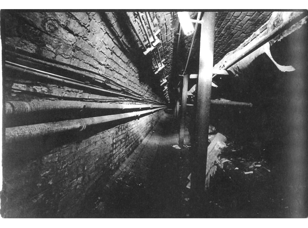 Image of the Traverse City Asylum tunnels.