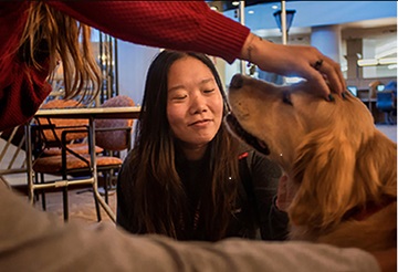 people gathered around a therapy dog