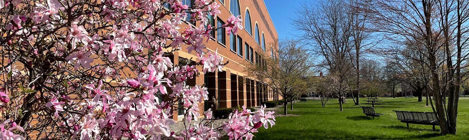 The west side of Park Library in the Spring