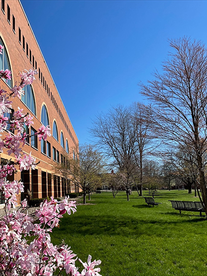 The west side of Park Library in the Spring