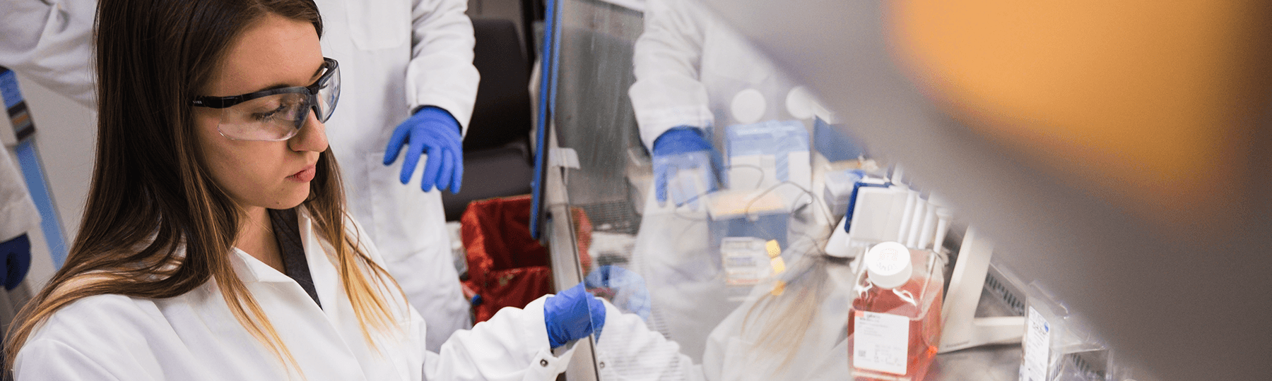 A student wearing safety glasses, gloves and a lab coat works with materials under a protective hood.