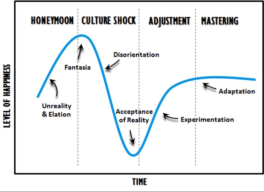 A graph showing the different phases of culture shock.