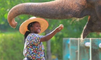 Internship abroad_350x210