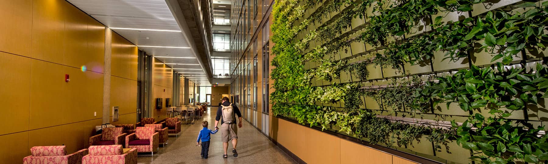 An adult and child holding hands as they walk next to the wall of plants on the first floor of the Biosciences Building. Taken from PhotoSource.