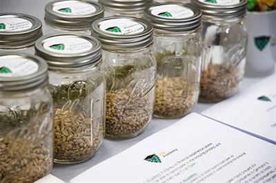 Photo4-AleAcademy Jars of grains