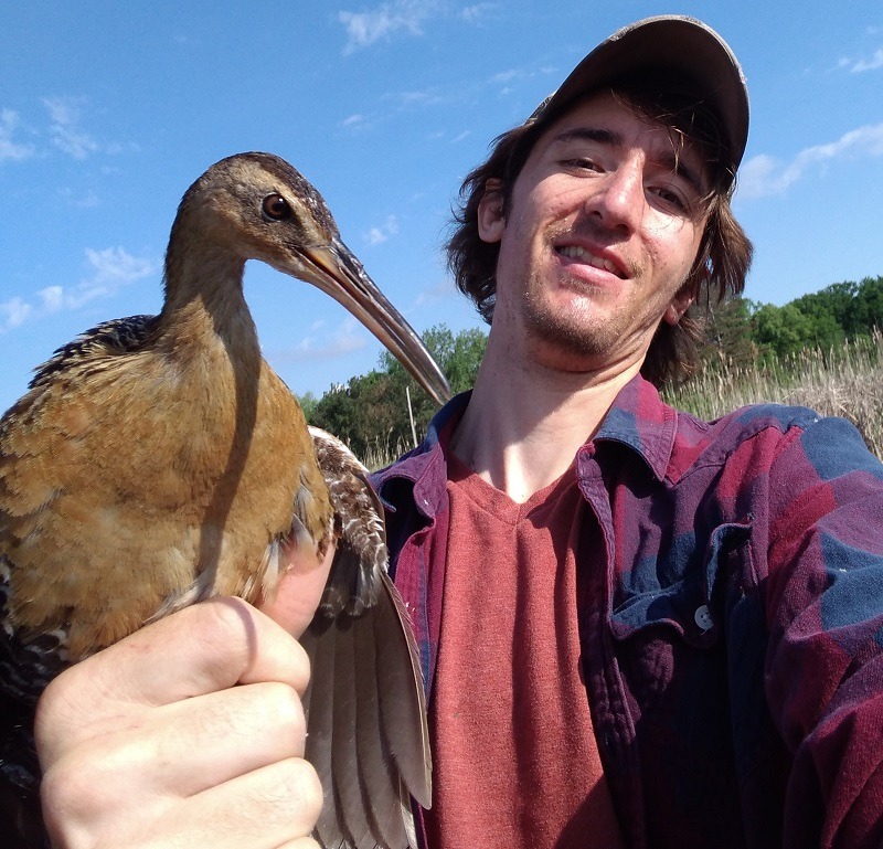 Dustin Brewer holding a King Rail waterbird while standing in a marsh.
