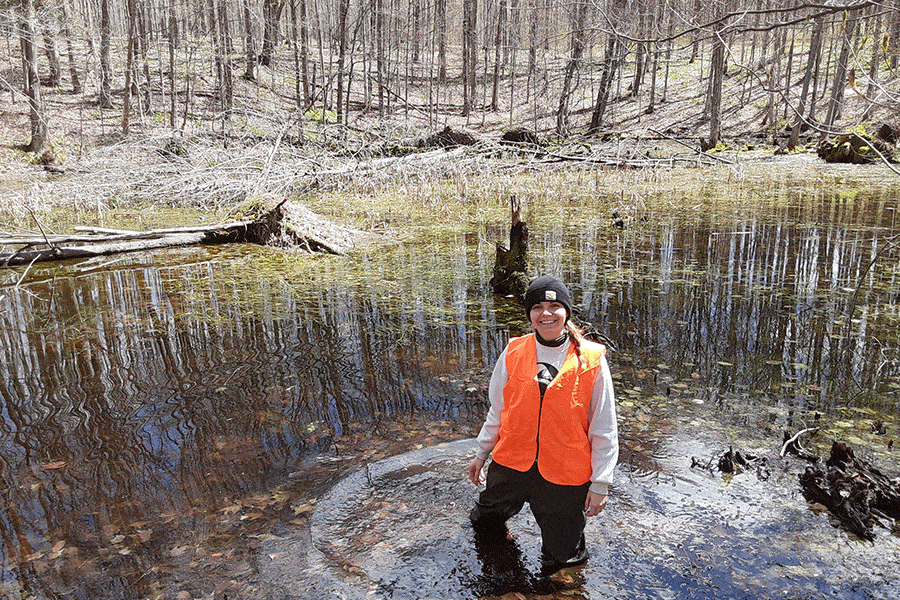 Picture of Amber Hubbard doing research in a Michigan swamp