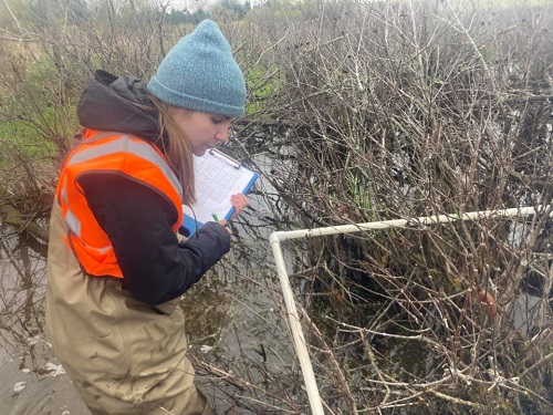 Picture of Amber Hubbard doing research in a Michigan swamp