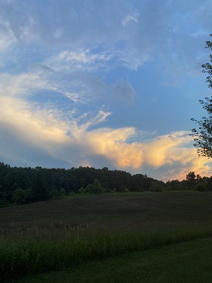 Nature picture from Pierce Cedar Creek Institute