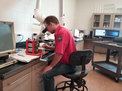 Picture of biology graduate student, Travis Rainey, looking through a microscope