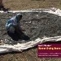 Image of women drying beans