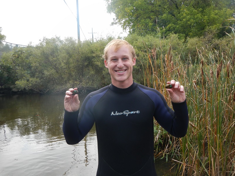 A student wearing a wetsuit while standing in water and holding two mussels.
