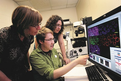 Dr. Schisa and her students working on a computer in a lab room.