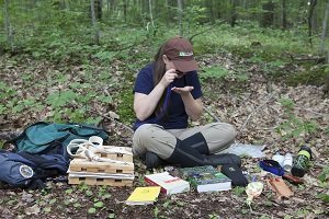 Student observing plants in the forest