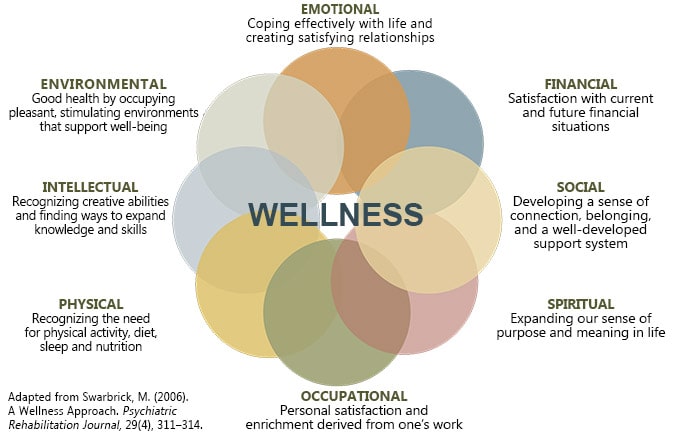 A graphic describing the eight dimensions of wellness: environmental, intellectual, physical, occupational, spiritual, social, financial, and emotional.