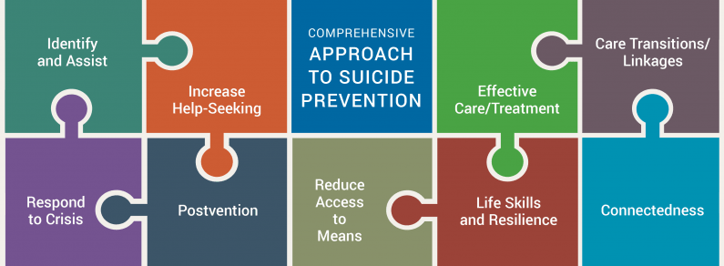 A puzzle depicting a comprehensive approach to suicide prevention that combines nine major strategies.