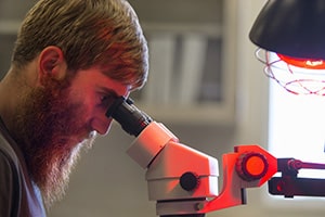 A medical student looks through a microscope.