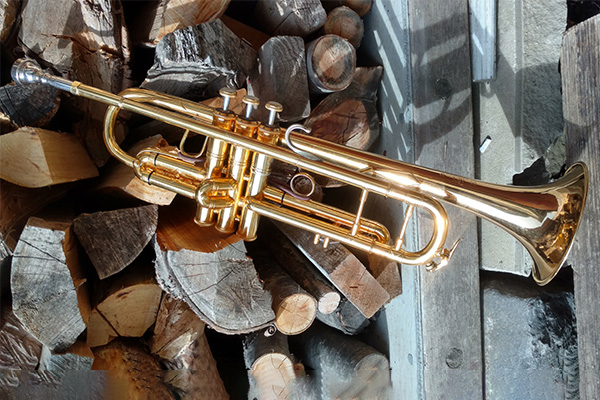 A picture of a trumpet with wood in the background.