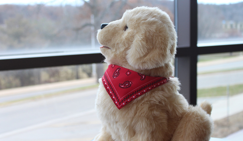 Robot dog, wearing a bandana around its neck, looking out a window