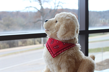 20251118_Events_Zoo_003_360x240