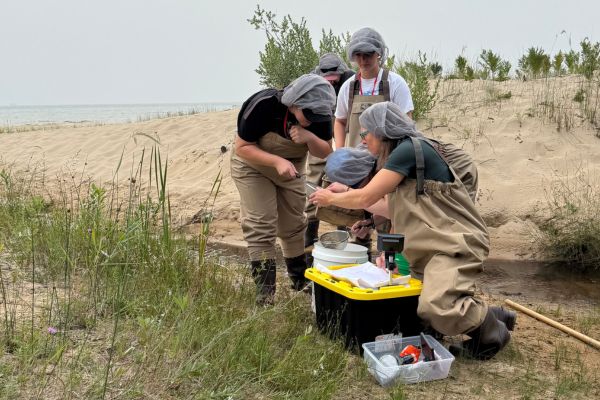 Image shows a group of adults in waders near a creek. They are looking at specimens inside of nets.