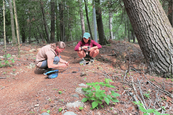 Image of two people working in the woods