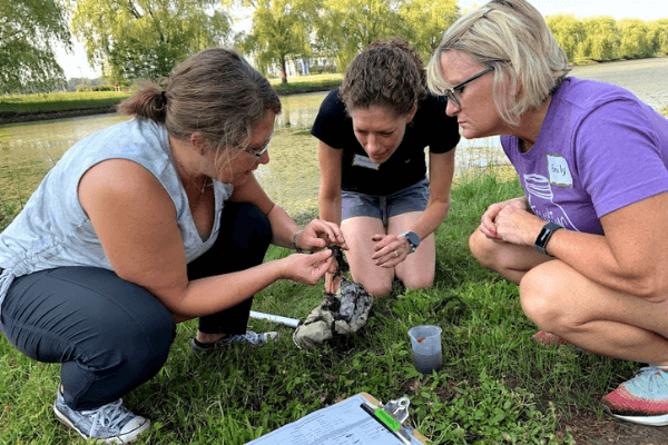 Three teachers kneel on the grass in front of a pond. They are looking at a specimen collected from a pond skimming net. One teacher holds the specimen while another reaches towards it.