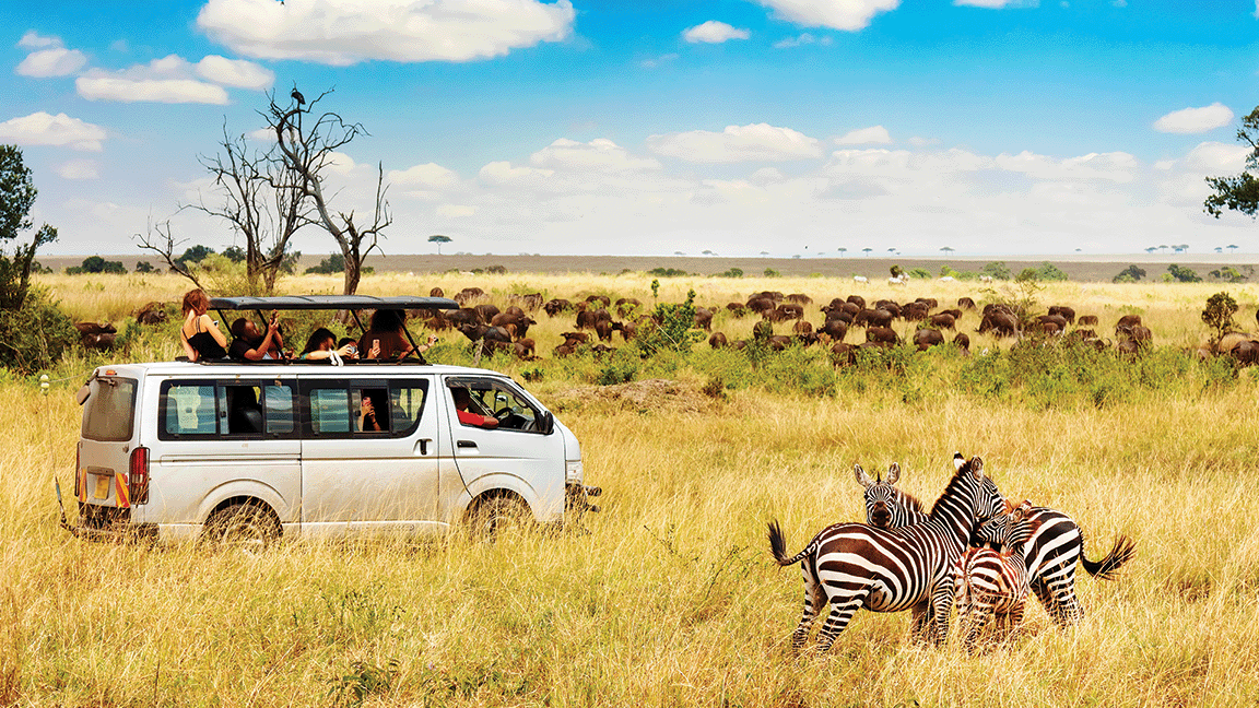 South Africa Safari with Zebras