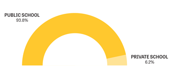 Yellow and gold circle chart indicating where alumni teach.