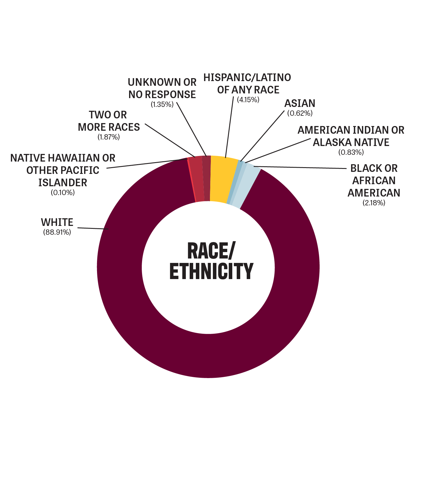 Pie chart representing demographic data of students who have been admitted and enrolled in the program.