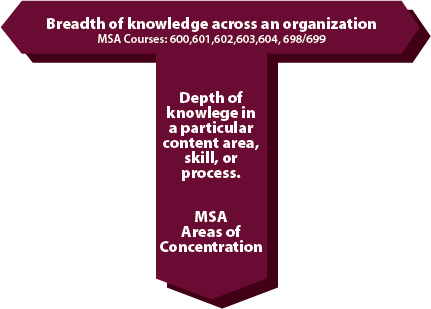T-chart of MSA program