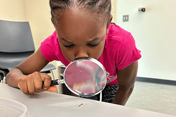 STEM summer nature camp