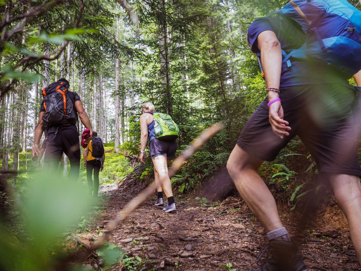 A group of young adults hiking through the woods.