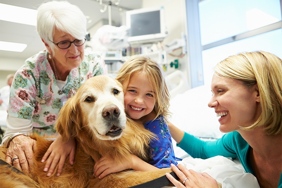 A little girl in a hospital bed cuddling and smiling with a golden retriever.