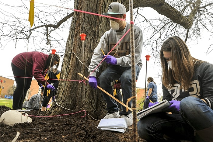 Students record and measure evidence uncovered during a mock crime scene