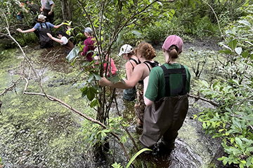 Kristen Brennan, wearing a pink hat, green shirt, and waterproof overalls, walks through a bog with other students.