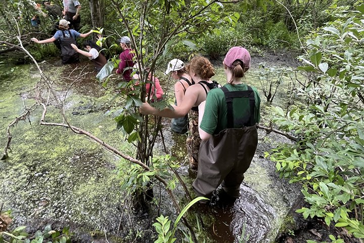Kristen Brennan, wearing a pink hat, green shirt, and waterproof overalls, walks through a bog with other students.